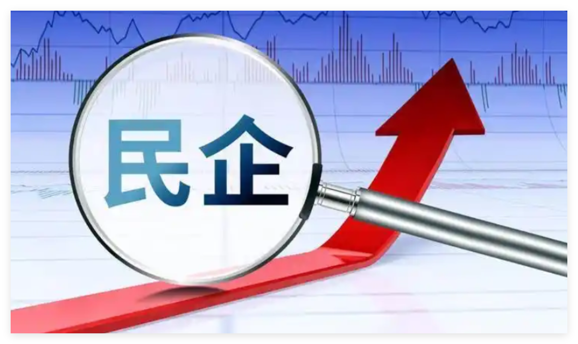 《民营经济促进法》关于引导民营资本健康发展的规定？