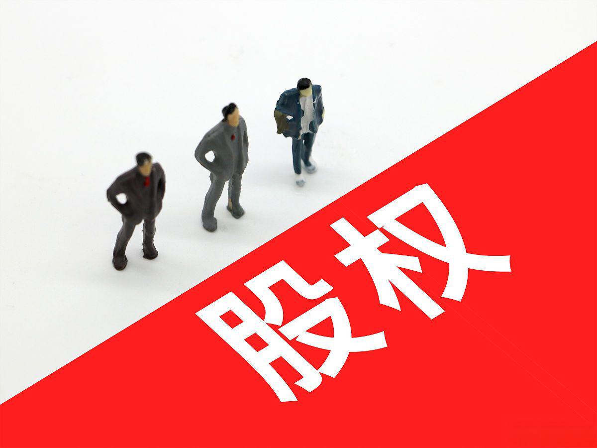 一个股东的公司，股东不能证明公司财产独立于股东自己财产的？